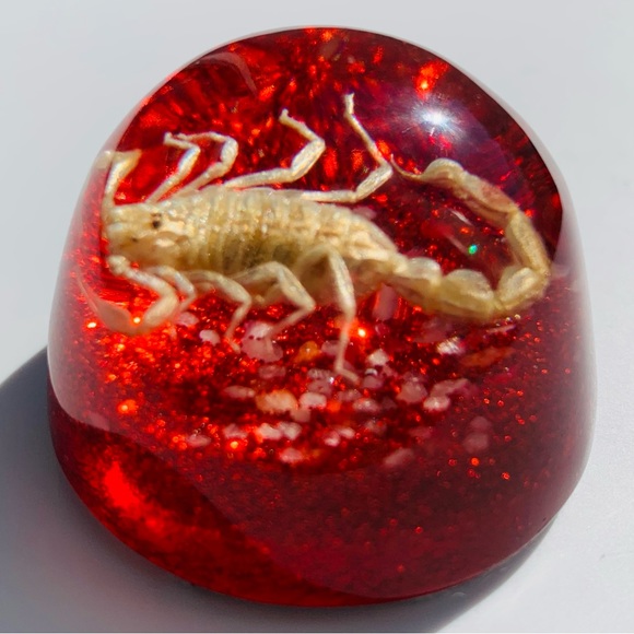 Scorpion Paperweight Acrylic Resin Dome Red Base with Glitter Felt Bottom - Picture 11 of 14
